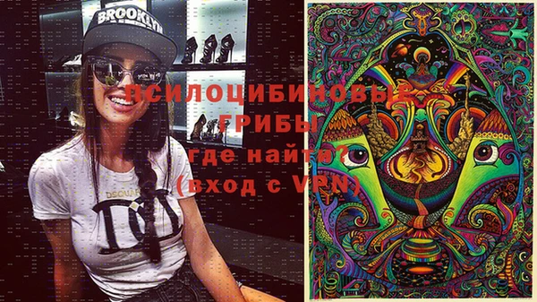 марки lsd Корсаков