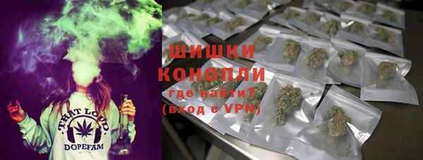 первитин Коряжма